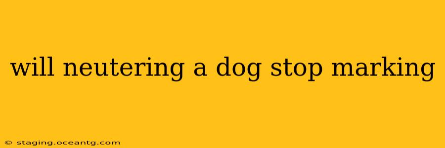 will neutering a dog stop marking