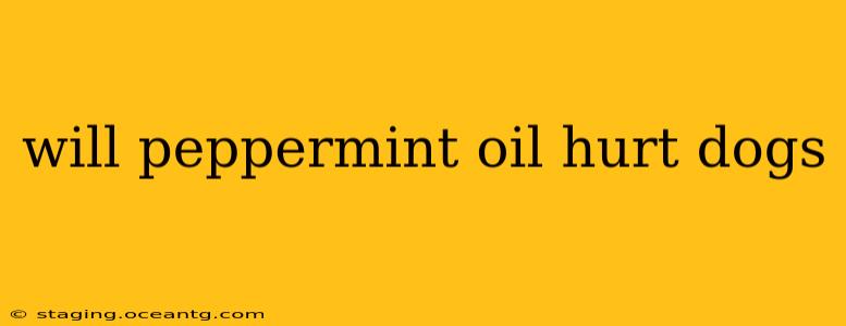 will peppermint oil hurt dogs
