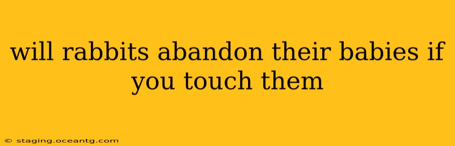 will rabbits abandon their babies if you touch them
