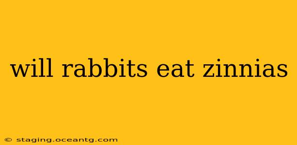 will rabbits eat zinnias