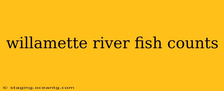 willamette river fish counts