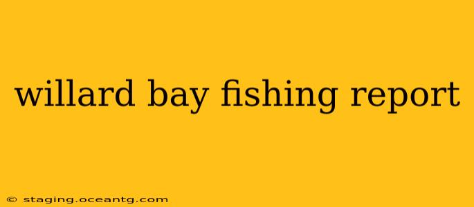 willard bay fishing report