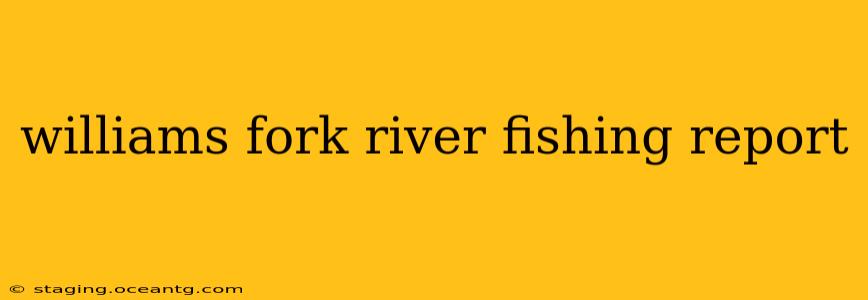 williams fork river fishing report