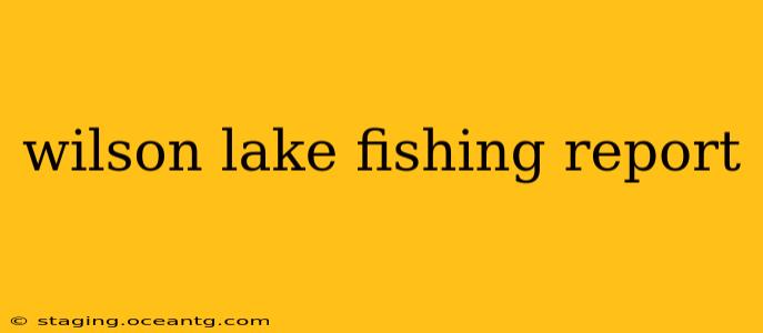 wilson lake fishing report