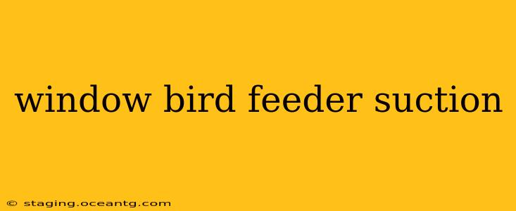 window bird feeder suction