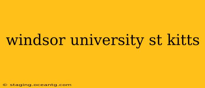 windsor university st kitts