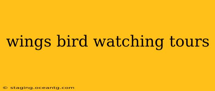 wings bird watching tours