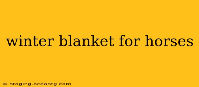 winter blanket for horses