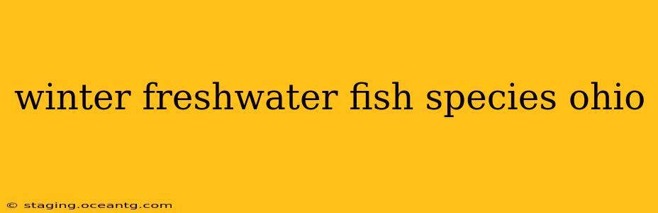 winter freshwater fish species ohio