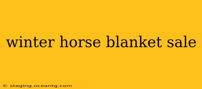 winter horse blanket sale