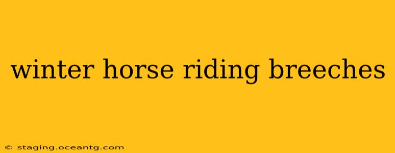 winter horse riding breeches