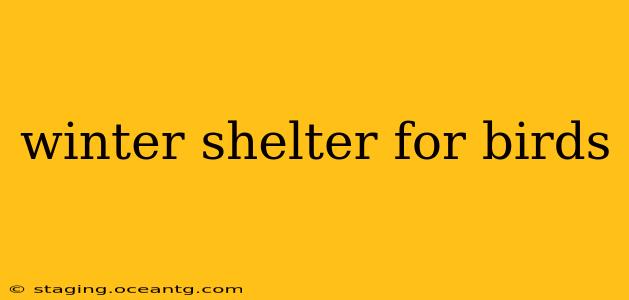 winter shelter for birds