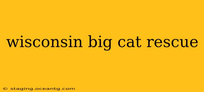 wisconsin big cat rescue