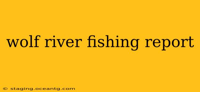 wolf river fishing report