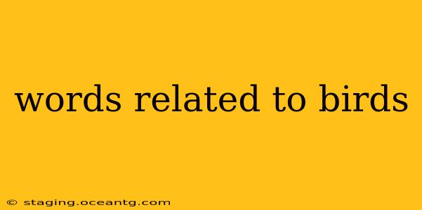 words related to birds