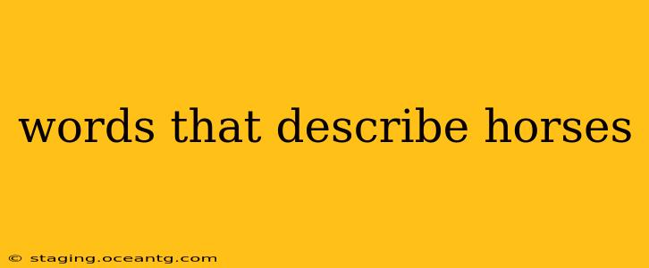 words that describe horses
