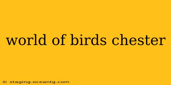 world of birds chester