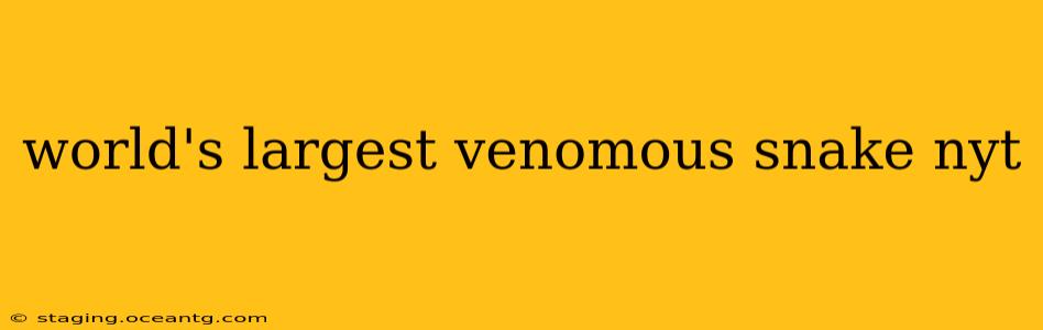 world's largest venomous snake nyt