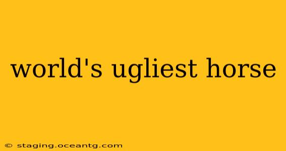 world's ugliest horse