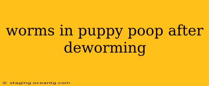 worms in puppy poop after deworming