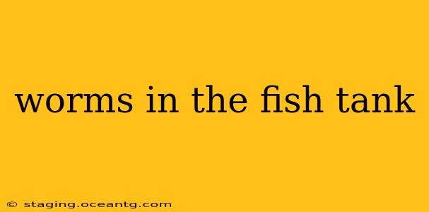 worms in the fish tank