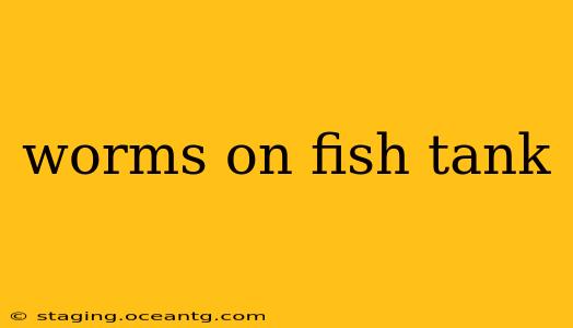 worms on fish tank