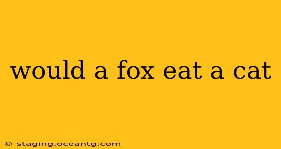 would a fox eat a cat