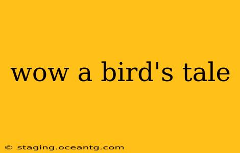 wow a bird's tale
