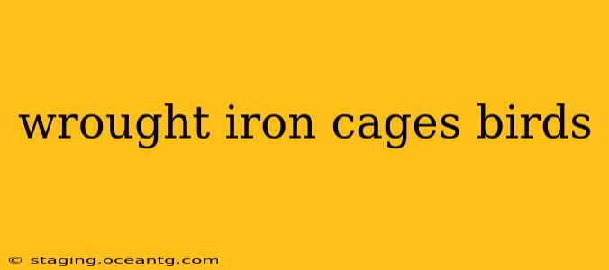 wrought iron cages birds