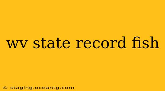 wv state record fish