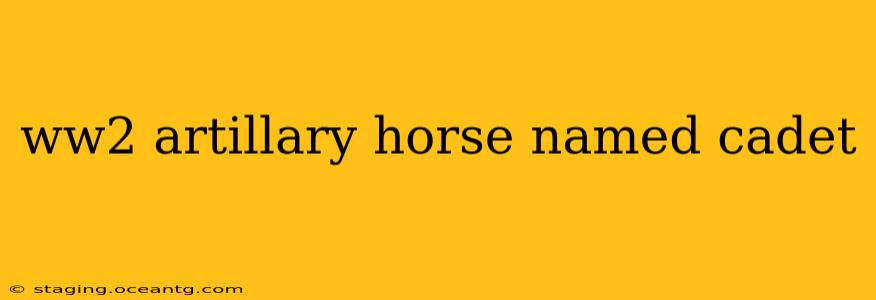 ww2 artillary horse named cadet
