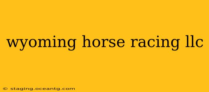 wyoming horse racing llc