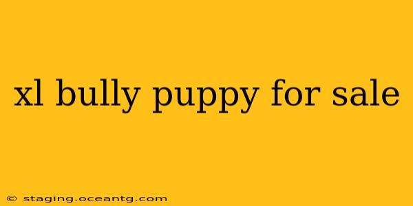 xl bully puppy for sale