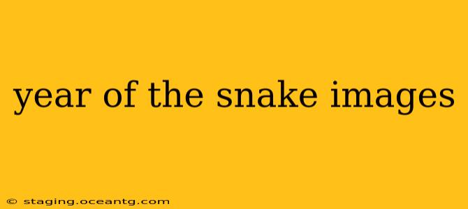 year of the snake images