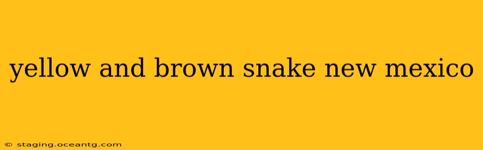 yellow and brown snake new mexico
