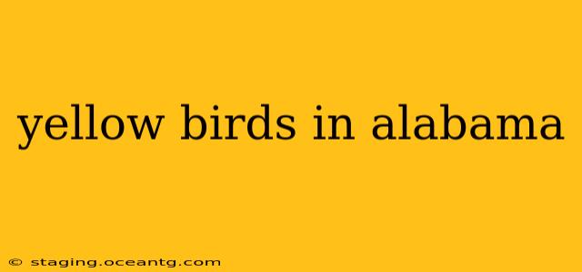 yellow birds in alabama