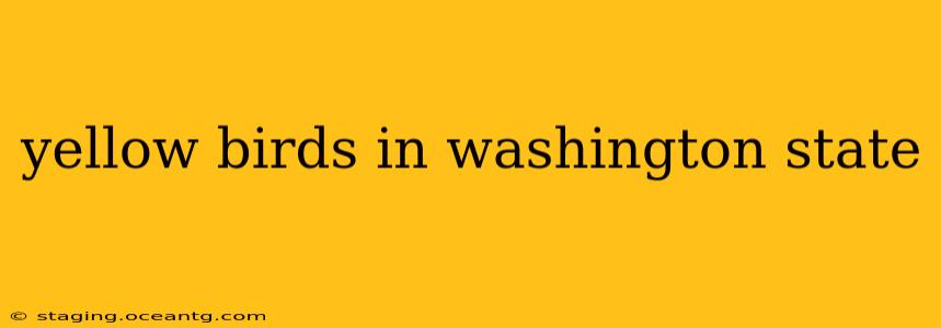 yellow birds in washington state