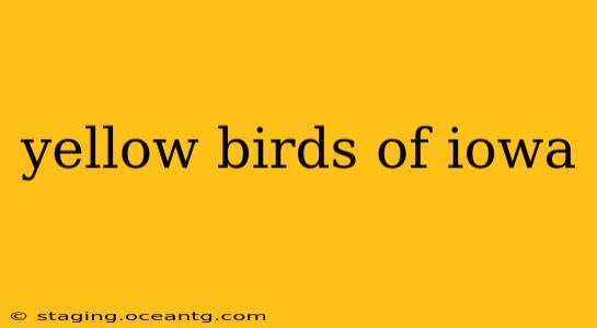 yellow birds of iowa