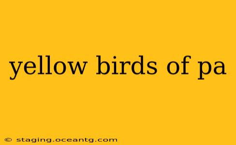 yellow birds of pa