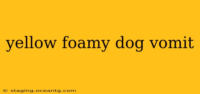 yellow foamy dog vomit