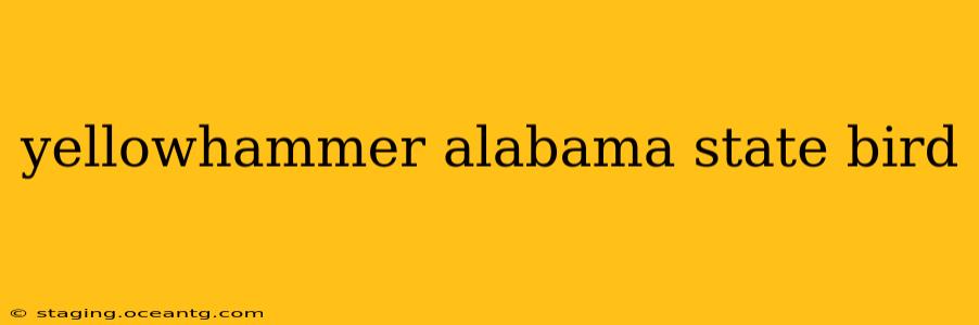 yellowhammer alabama state bird