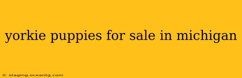 yorkie puppies for sale in michigan