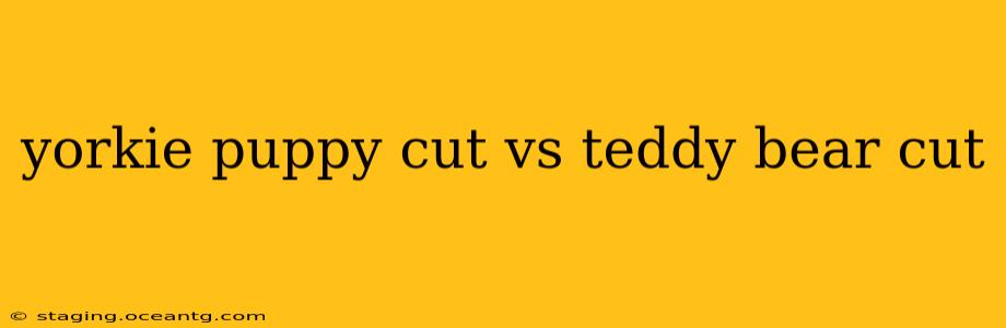 yorkie puppy cut vs teddy bear cut