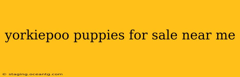 yorkiepoo puppies for sale near me