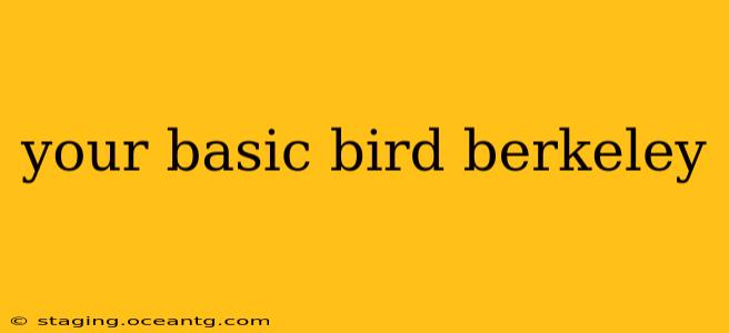 your basic bird berkeley