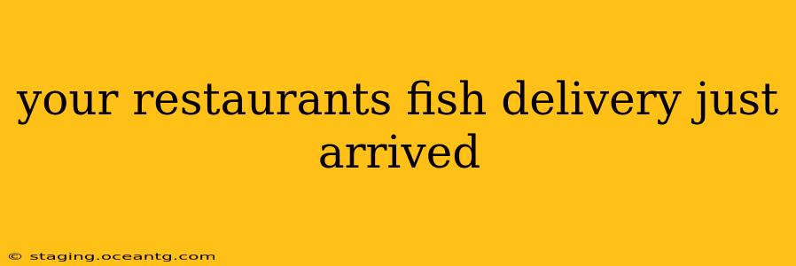 your restaurants fish delivery just arrived